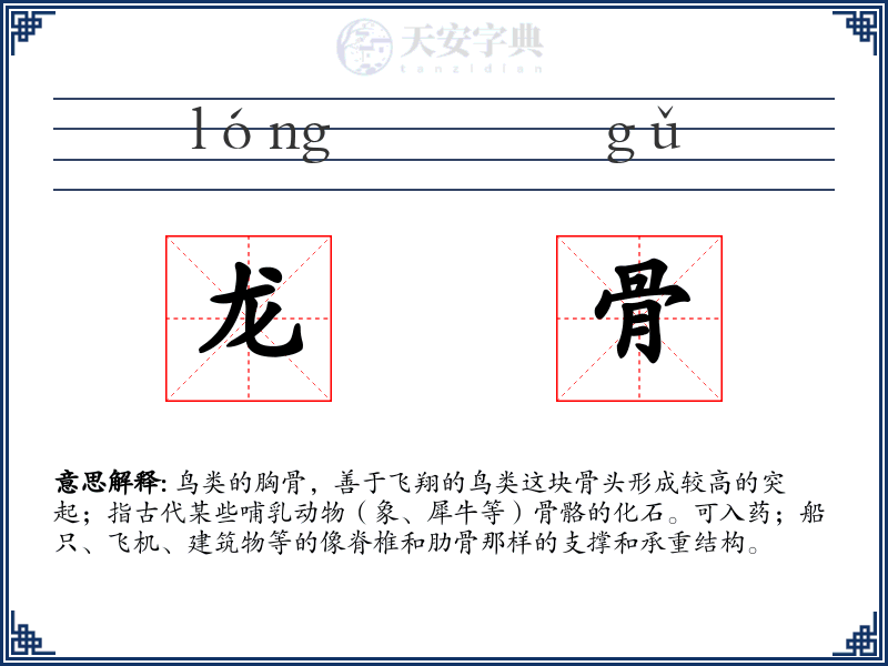 龙骨