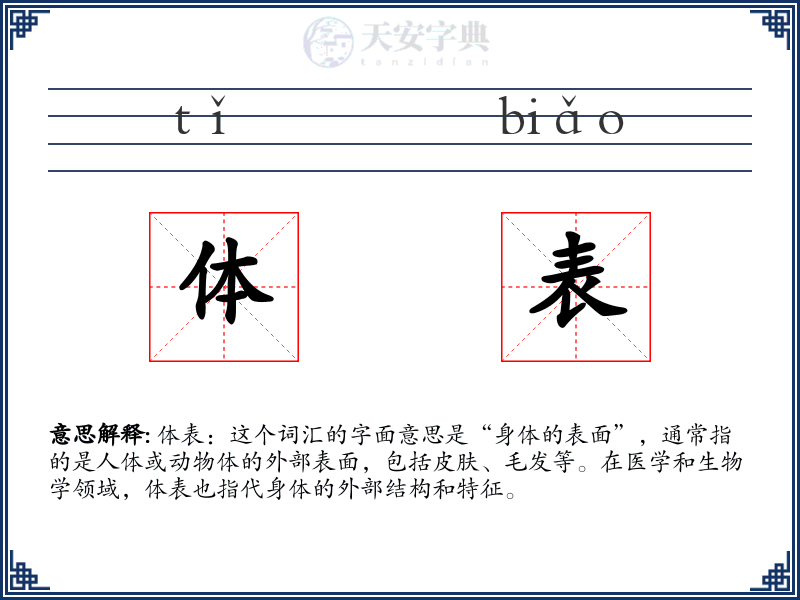 体表