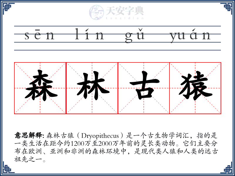 森林古猿