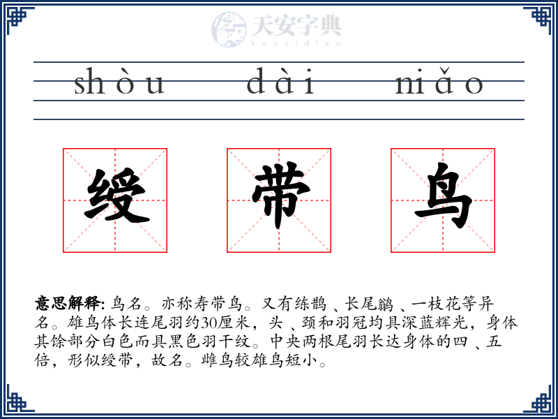 绶带鸟