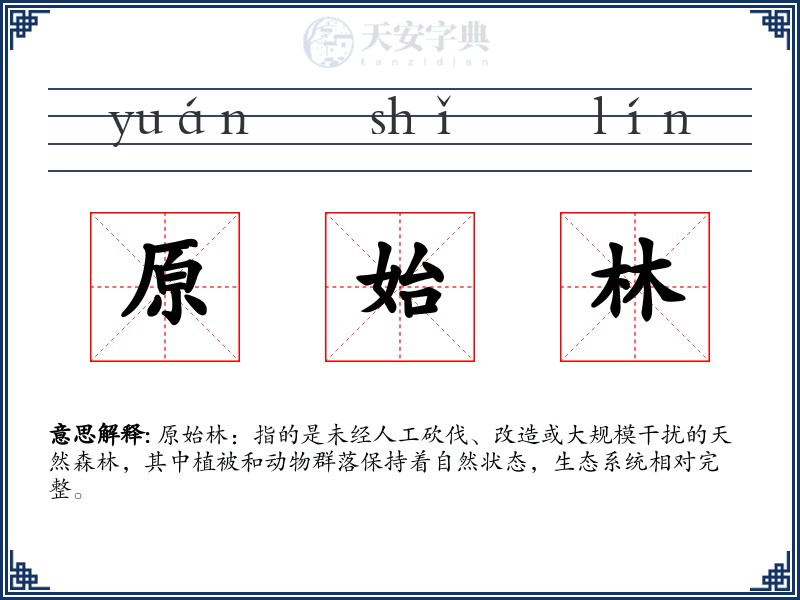 原始林