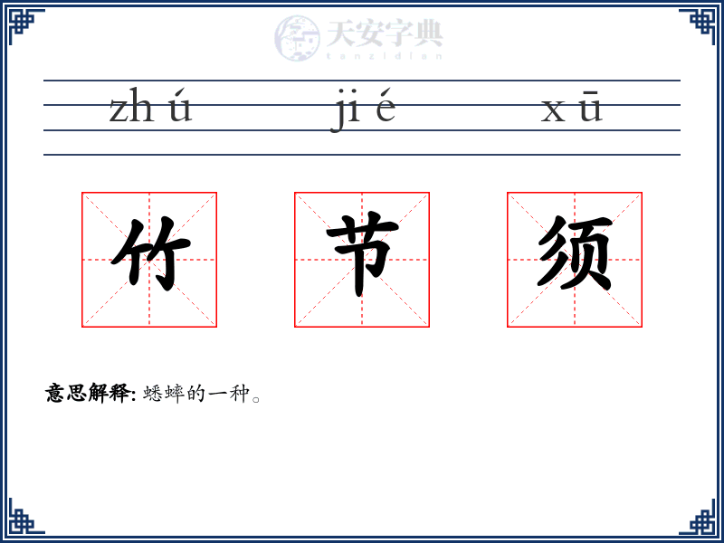 竹节须