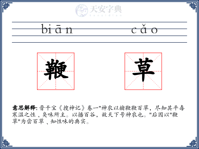 鞭草