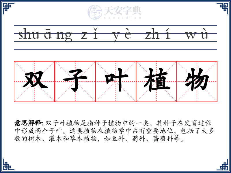 双子叶植物