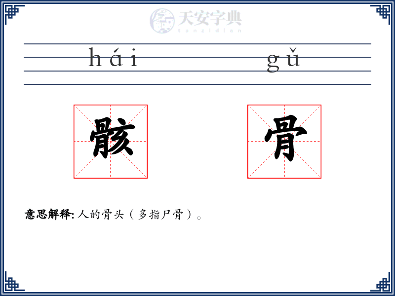 骸骨