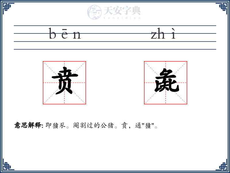 贲彘