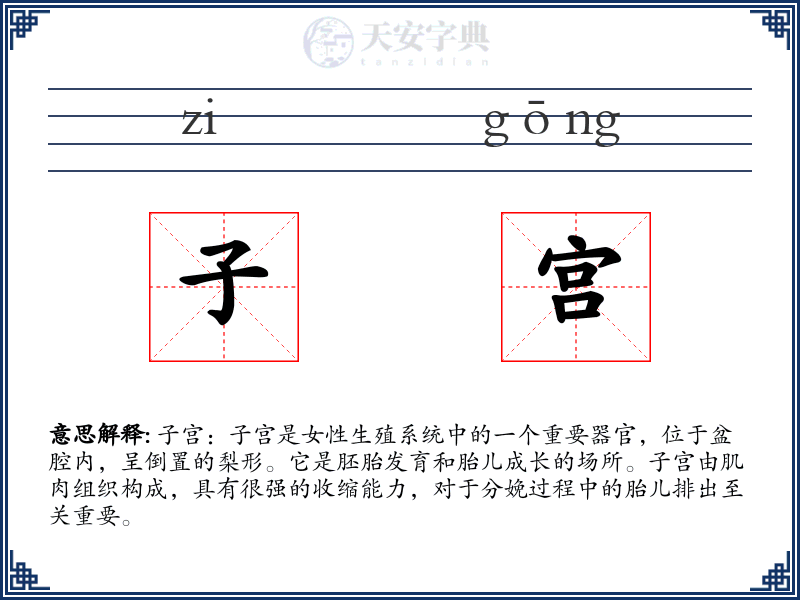 子宫