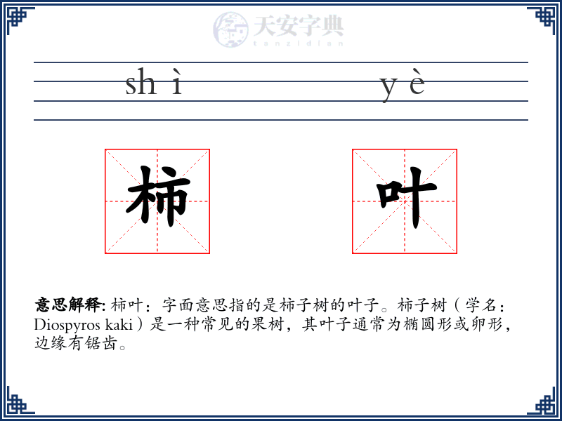 柿叶
