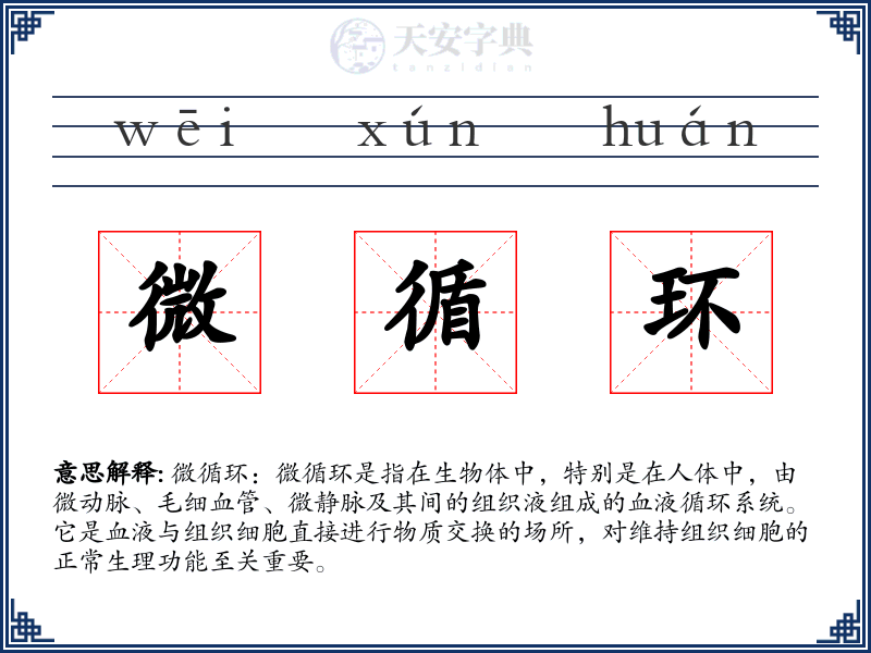 微循环