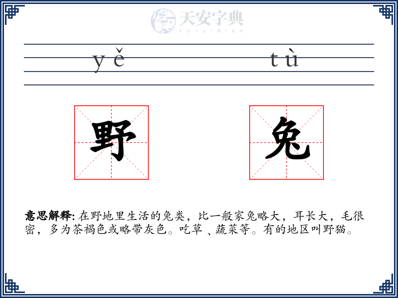 野兔