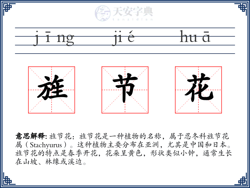 旌节花