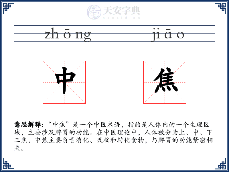 中焦