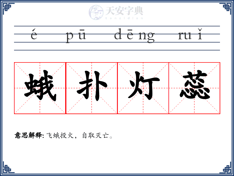 蛾扑灯蕊