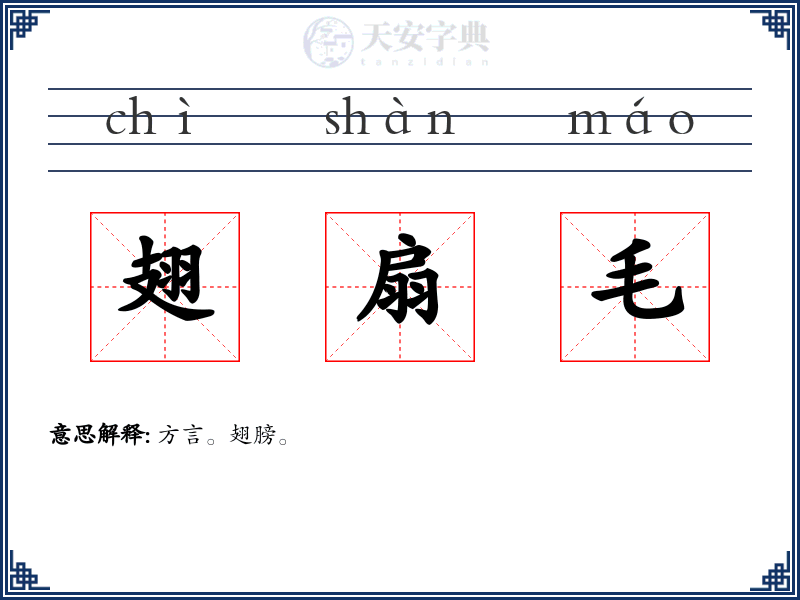 翅扇毛
