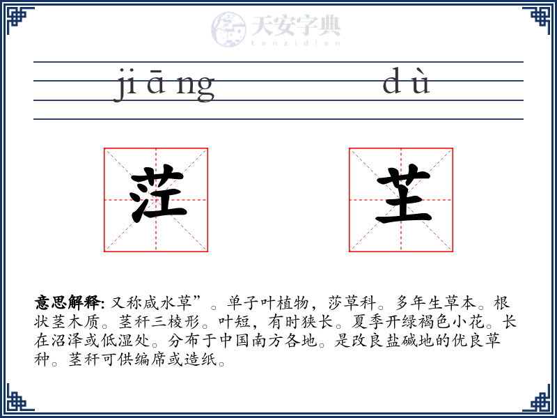 茳芏
