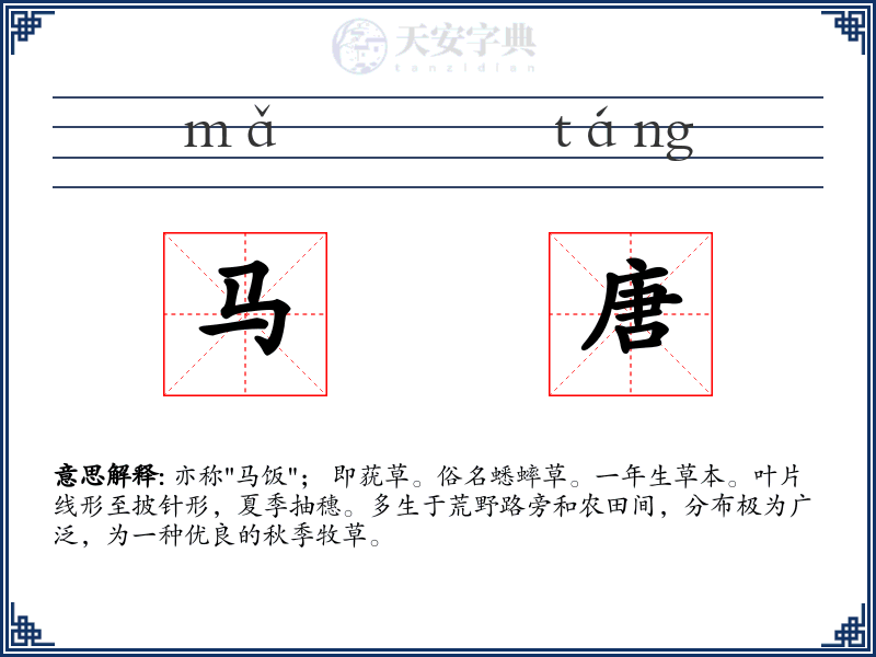 马唐