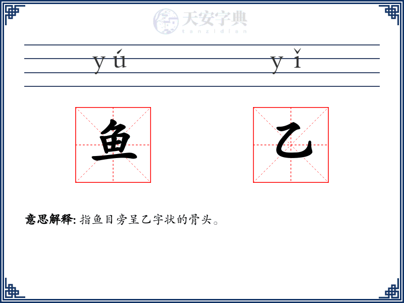 鱼乙