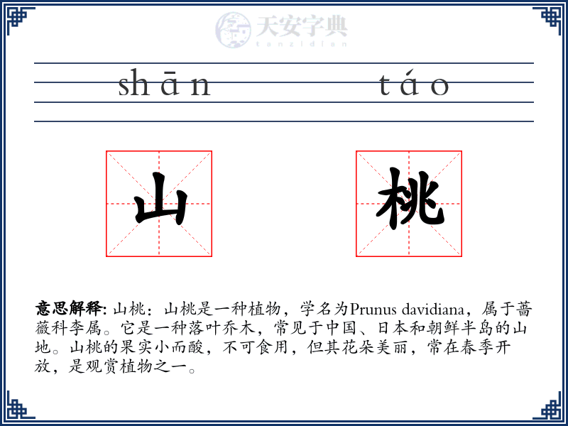山桃