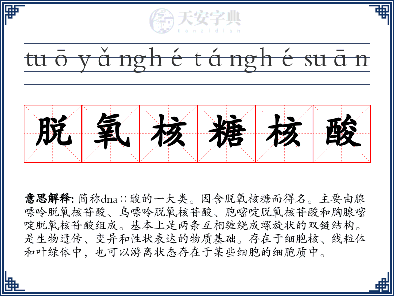 脱氧核糖核酸