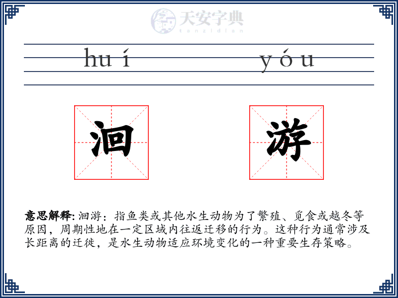 洄游