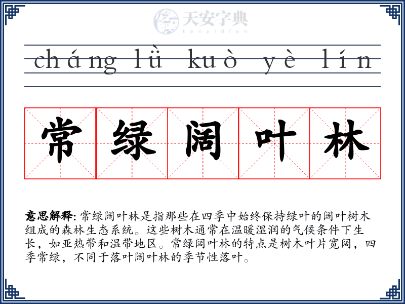常绿阔叶林
