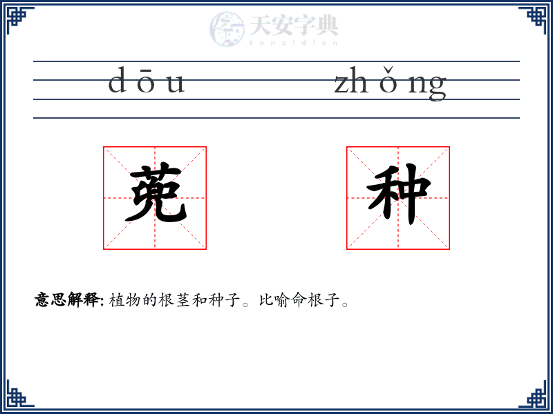 蔸种