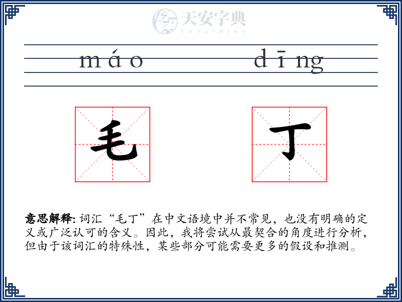 毛丁
