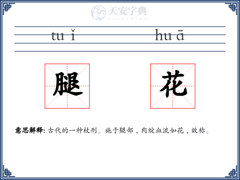腿花