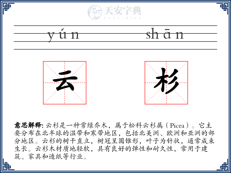 云杉