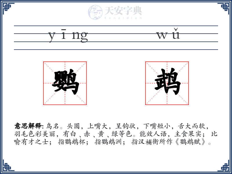 鹦鹉