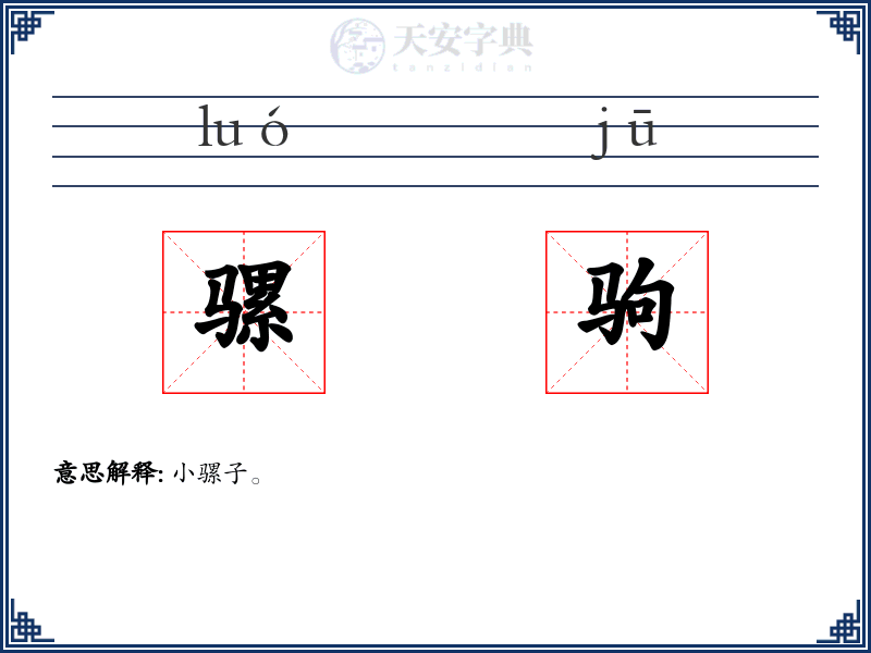 骡驹