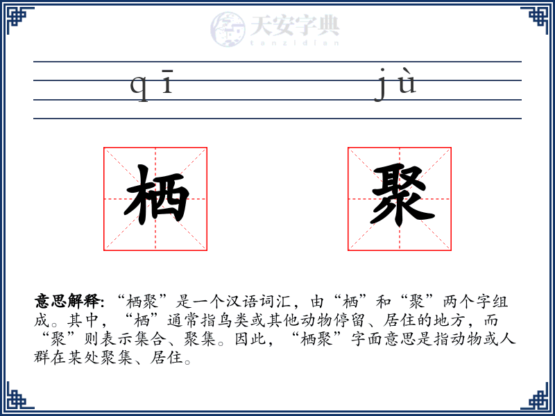 栖聚