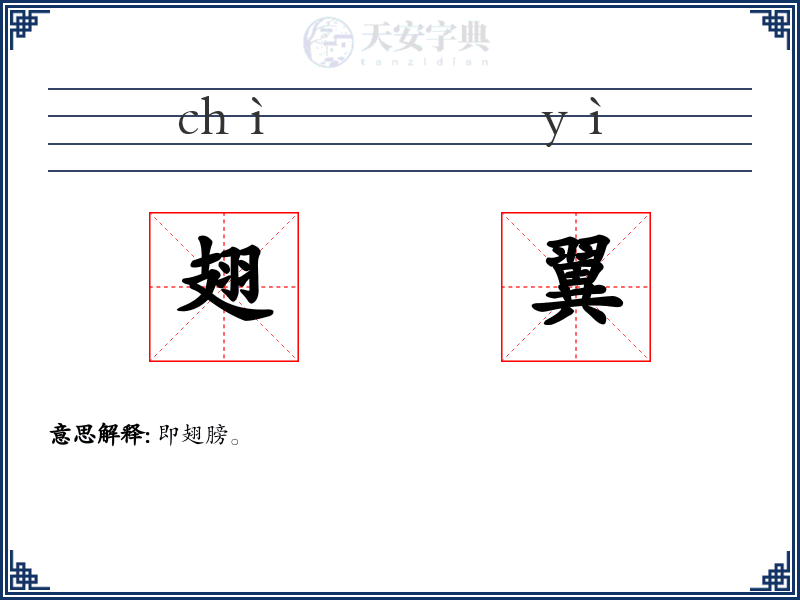 翅翼