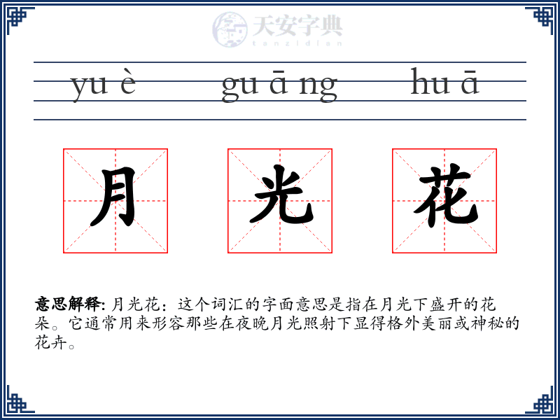 月光花