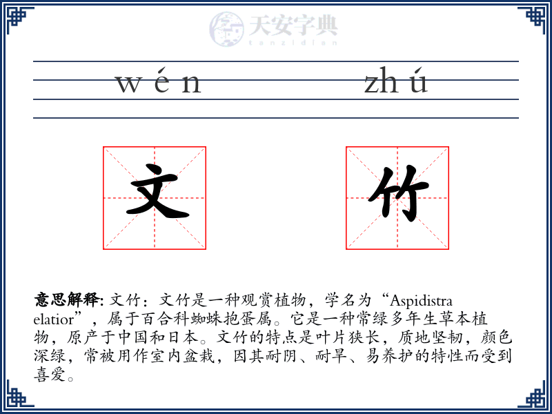 文竹