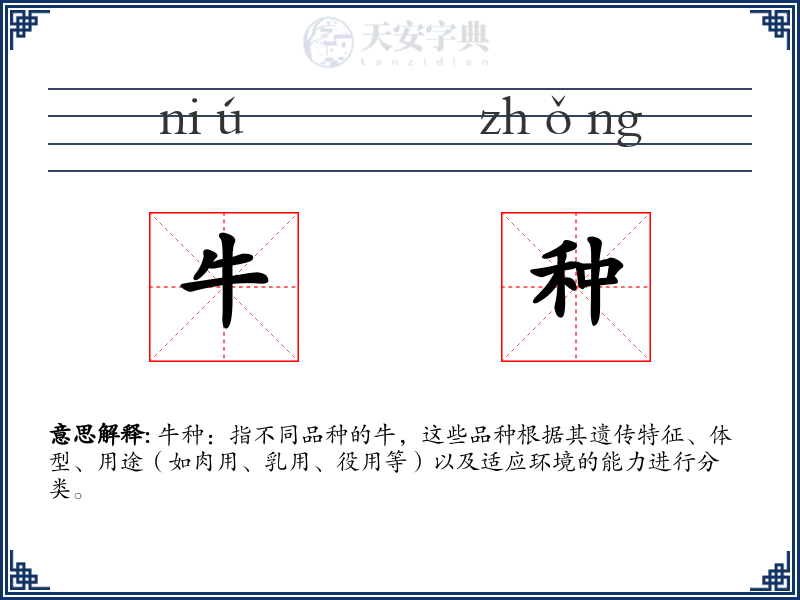 牛种
