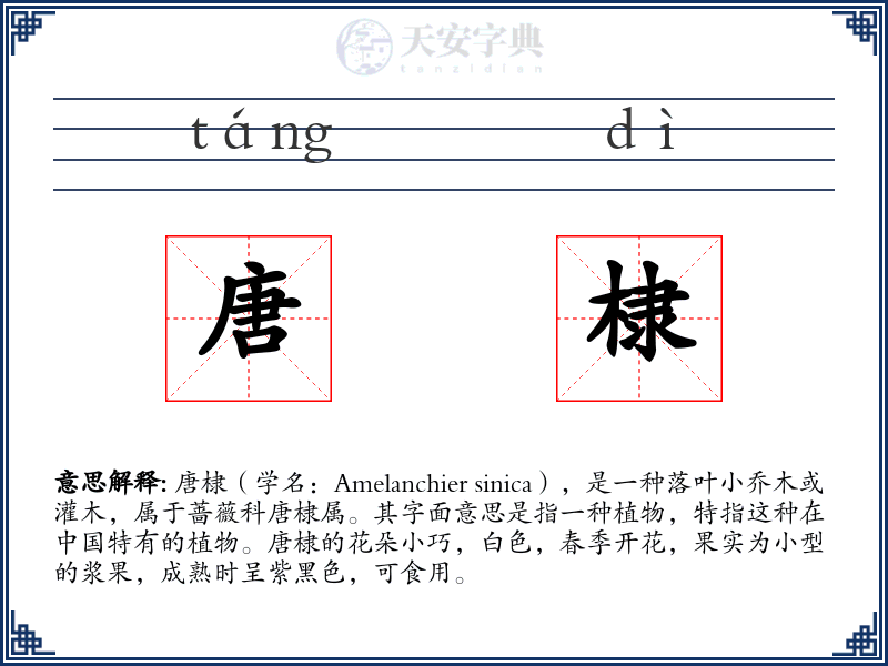 唐棣