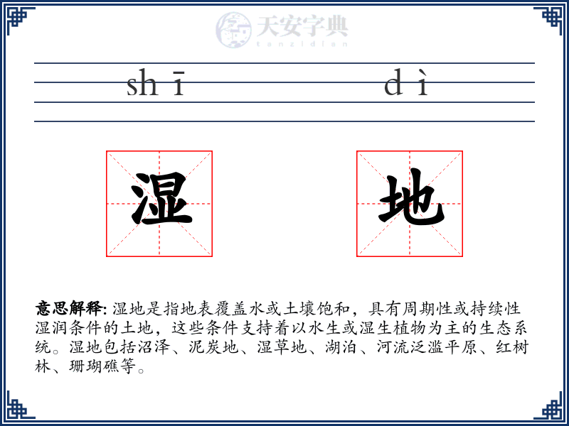湿地