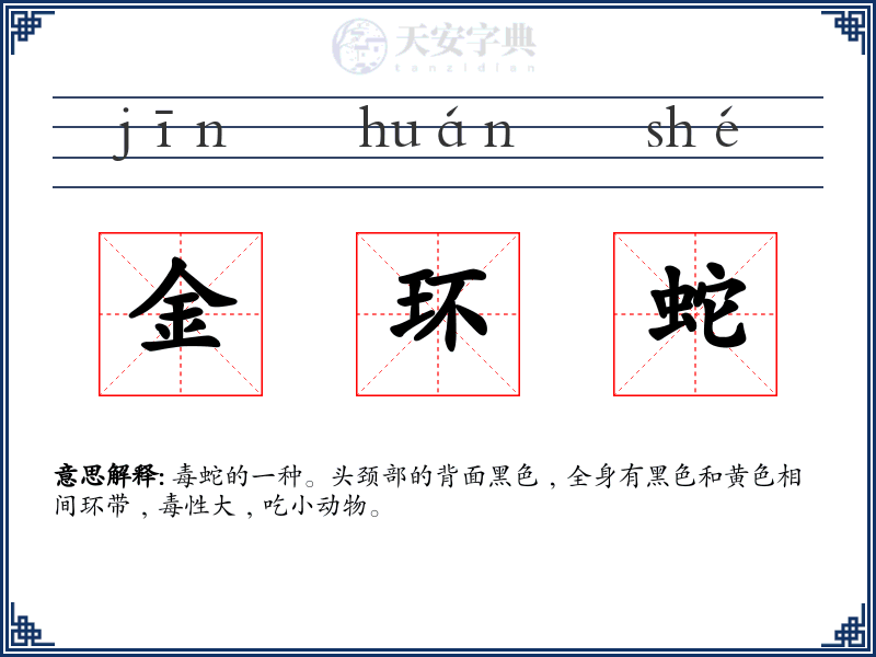 金环蛇