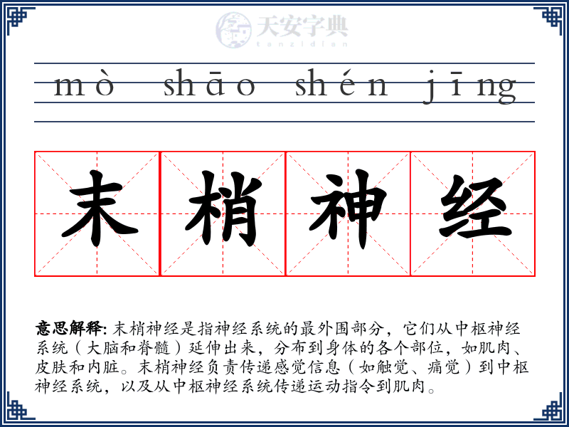 末梢神经