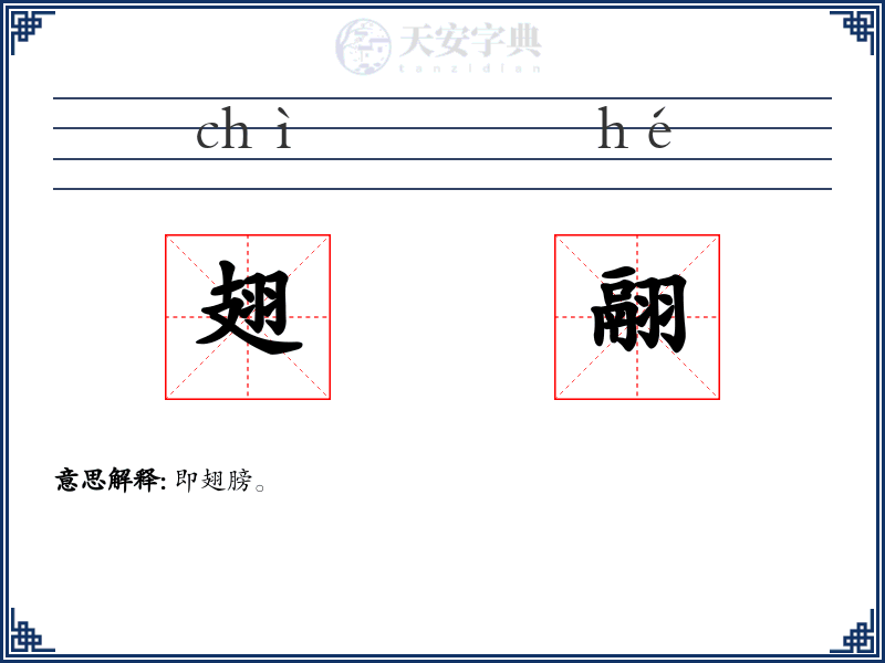 翅翮