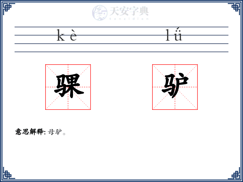 骒驴