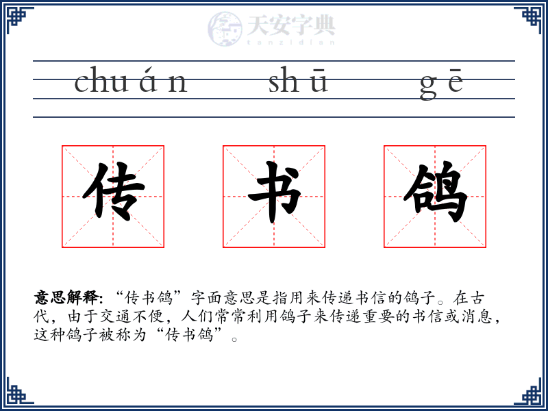 传书鸽