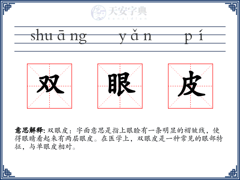 双眼皮