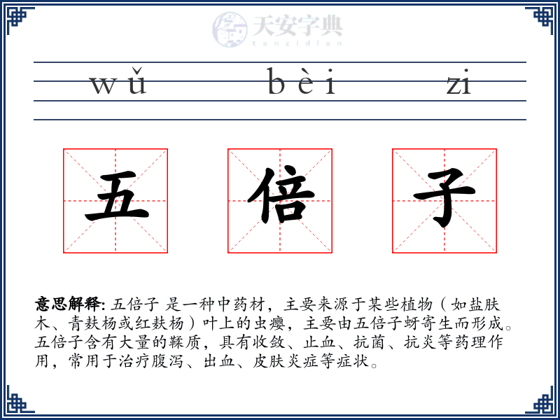 五倍子