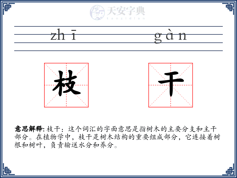 枝干