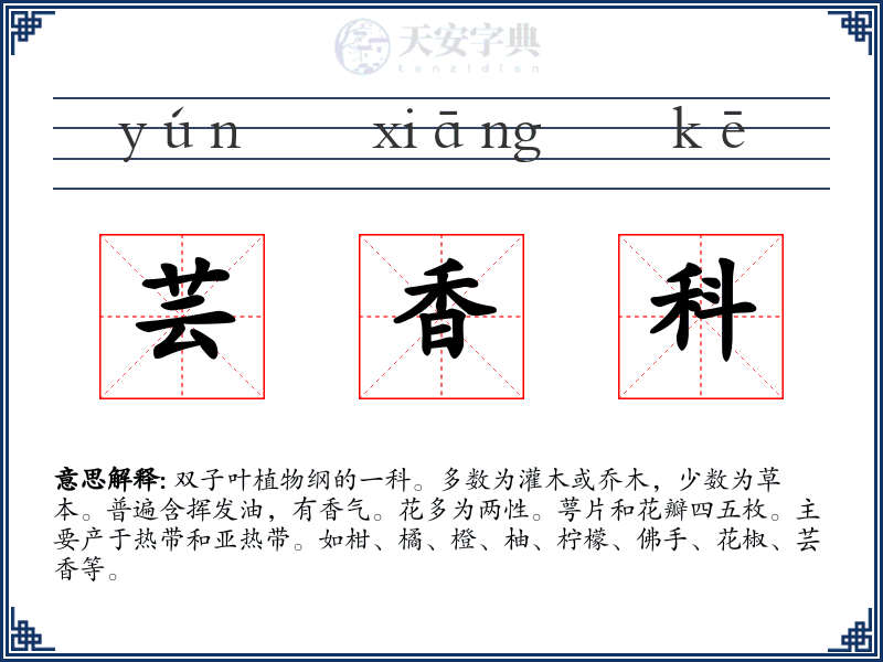芸香科