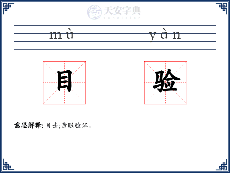 目验