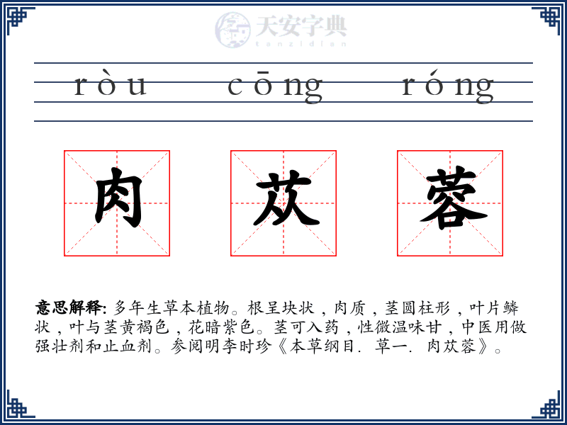 肉苁蓉