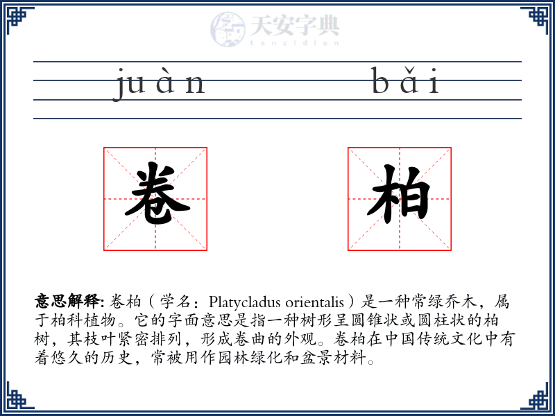 卷柏